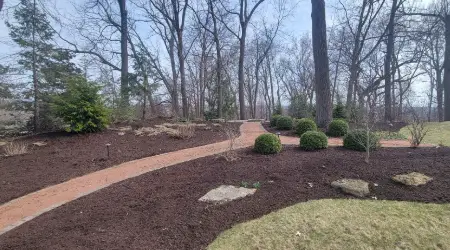 landscape maintenance